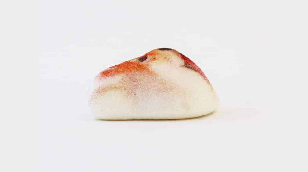 Adorable Fluffy Shiba Inu Marshmallows